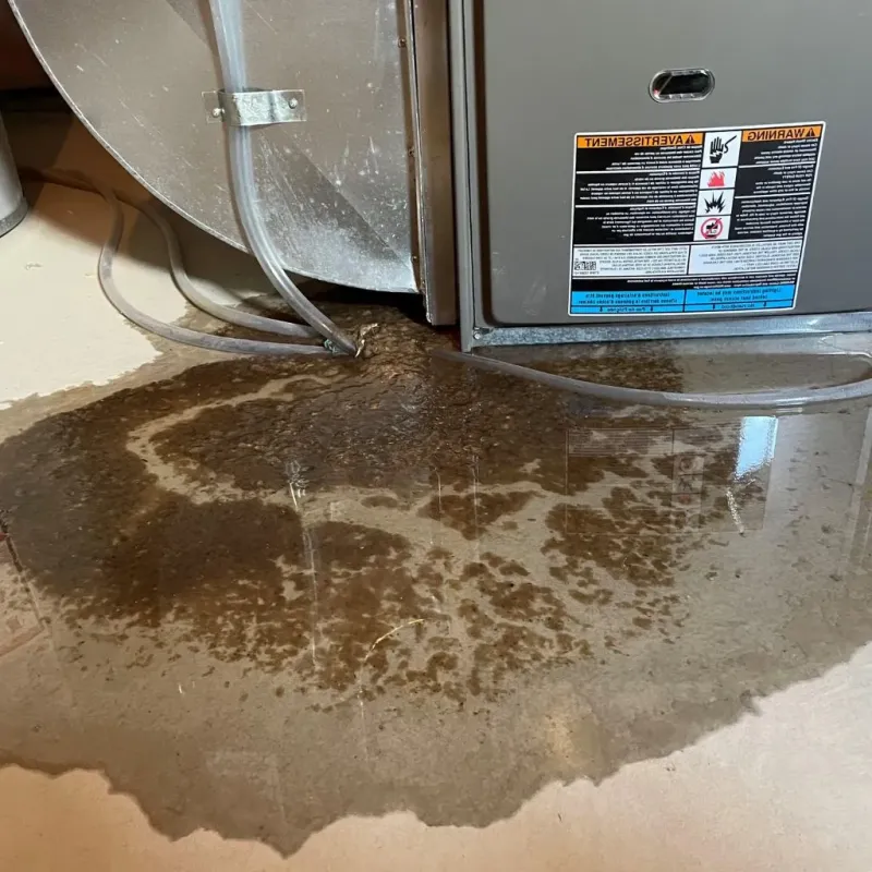 Pipe Burst and Leak Restoration in Avon, PA